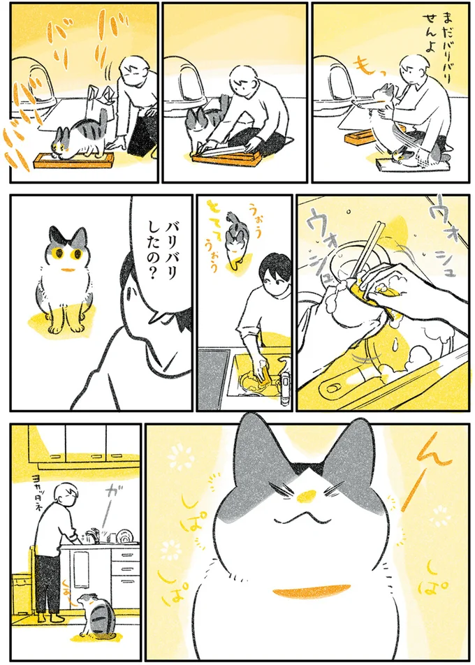 『じじ猫くらし』1～2 14079515.webp