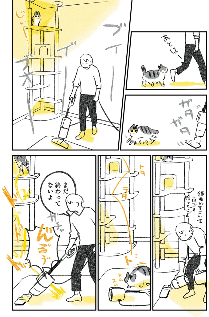 『じじ猫くらし』1～2 14079516.webp