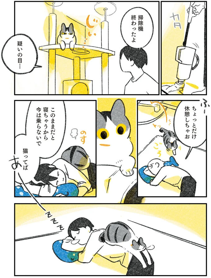 『じじ猫くらし』1～2 14079517.webp