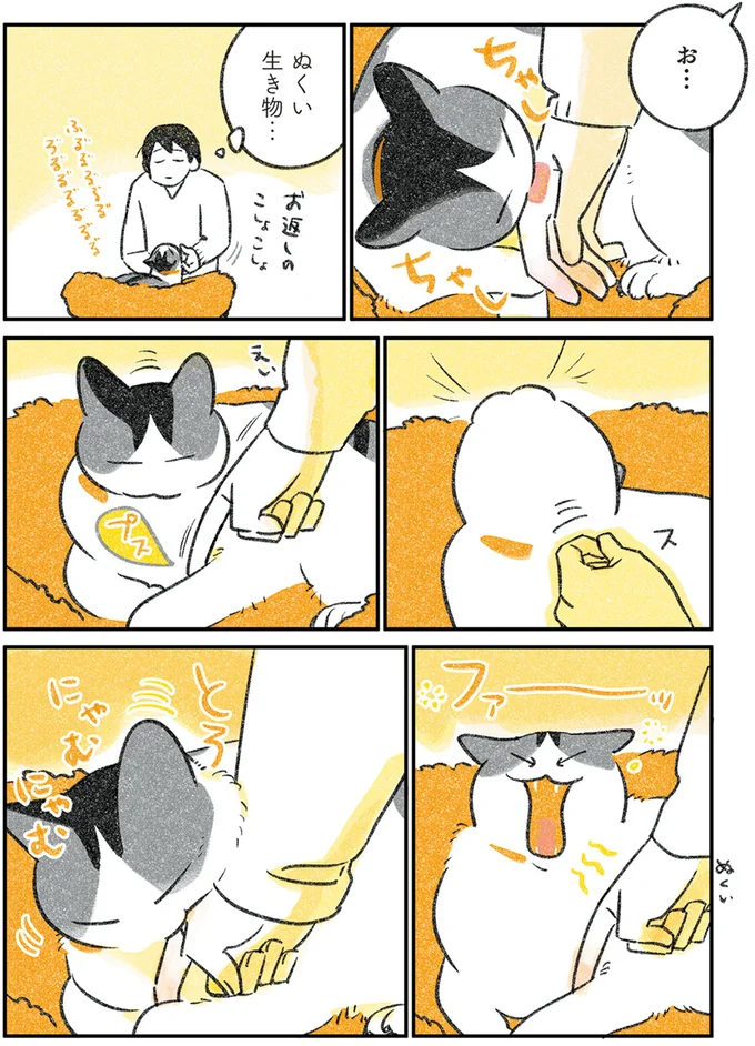 『じじ猫くらし』1～2 14080057.webp