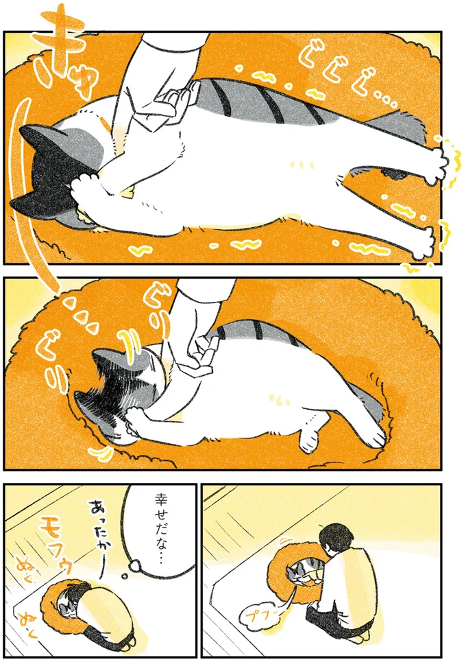 『じじ猫くらし』1～2 14080058.webp