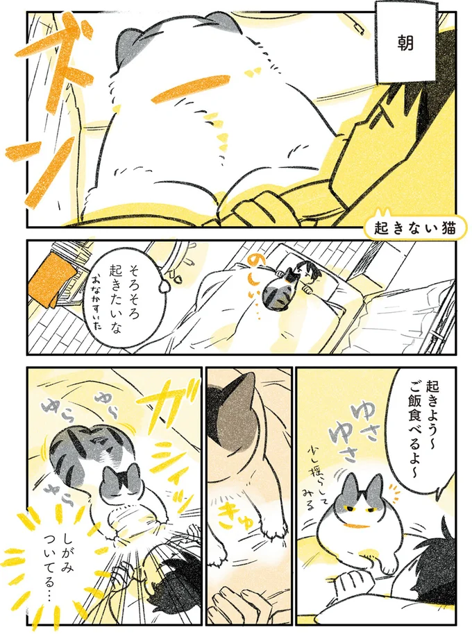 「起きようよ~」。朝、飼い主の上で起きない猫。動けない飼い主の選択は.../じじ猫くらし 2 14080135.webp