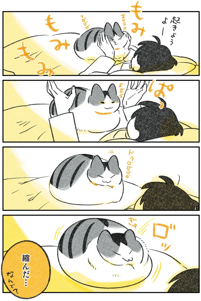 『じじ猫くらし』1～2 14080136.webp