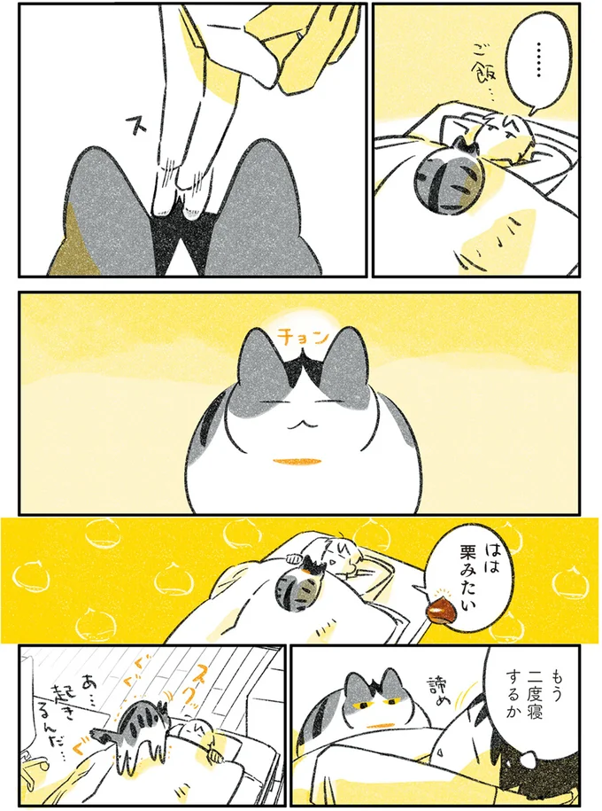 『じじ猫くらし』1～2 14080137.webp