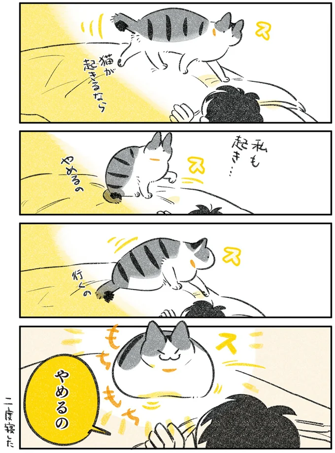 『じじ猫くらし』1～2 14080138.webp
