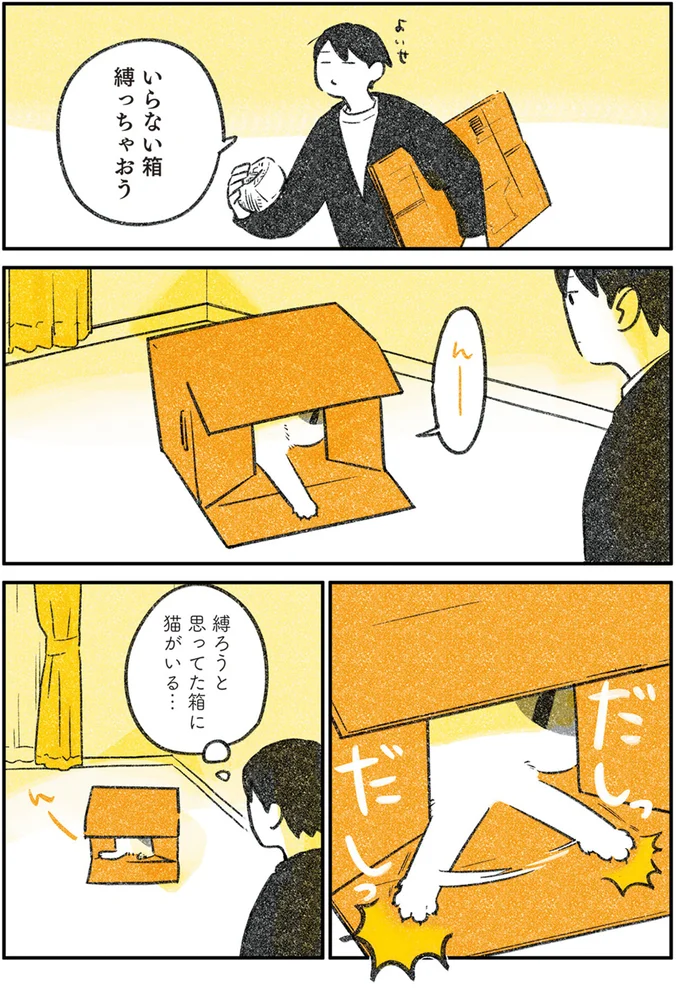 猫と段ボール。見向きもしなかったのに、飼い主が縛ろうとしたら中に...⁉/じじ猫くらし 2 14080144.webp