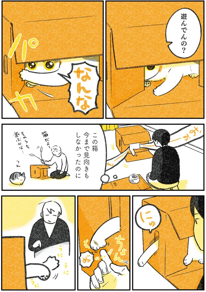 『じじ猫くらし』1～2 14080145.webp