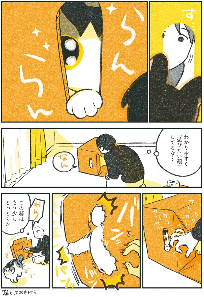 『じじ猫くらし』1～2 14080146.webp