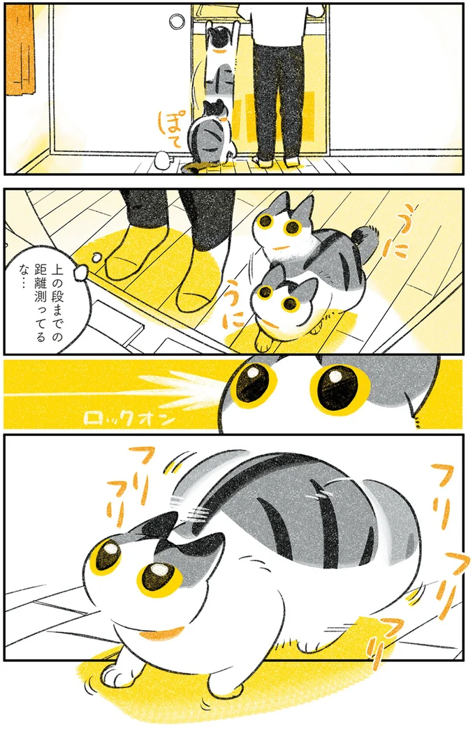 『じじ猫くらし』1～2 14080158.webp