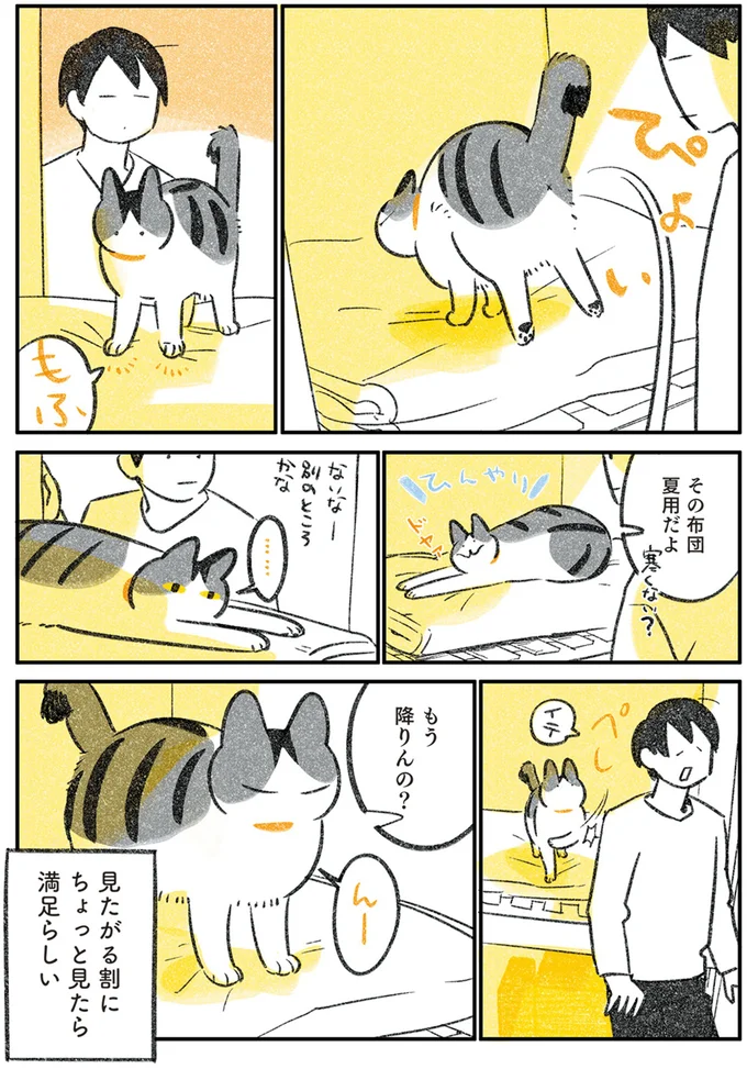 『じじ猫くらし』1～2 14080159.webp