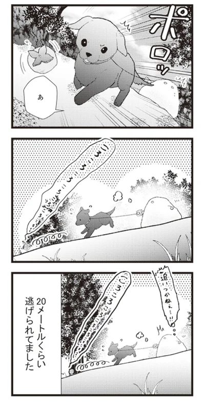 『日々限界集落』 14113349.webp