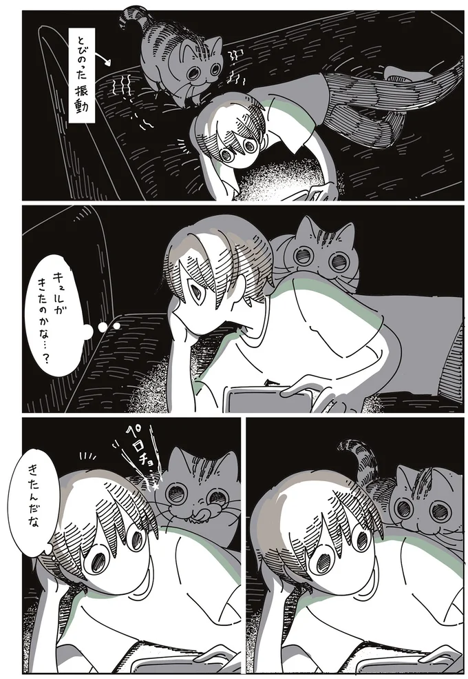 真っ暗な部屋に感じる気配。愛猫がいるのがわかっていてもビックリ！／夜は猫といっしょ 7 14114411.webp