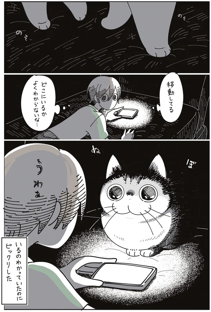 真っ暗な部屋に感じる気配。愛猫がいるのがわかっていてもビックリ！／夜は猫といっしょ 7 14114412.webp
