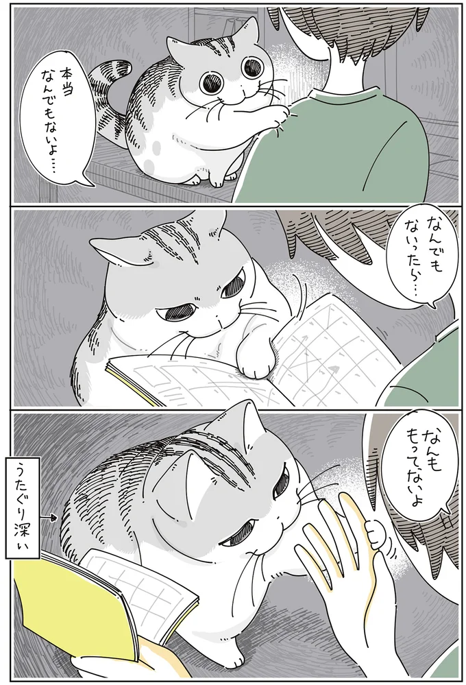 「なんでもないよ」うたぐり深い猫。何をそんなに確かめたいのか／夜は猫といっしょ 7 14126710.webp