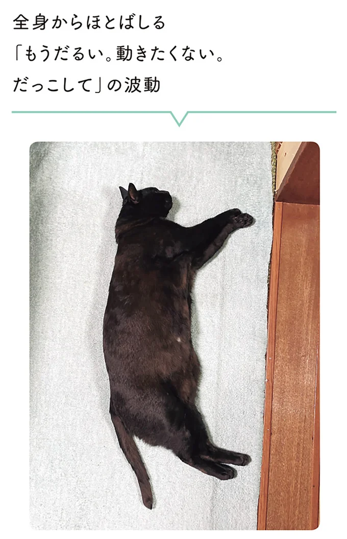 『黒猫ろんと暮らしたら1～3』 14151277.webp