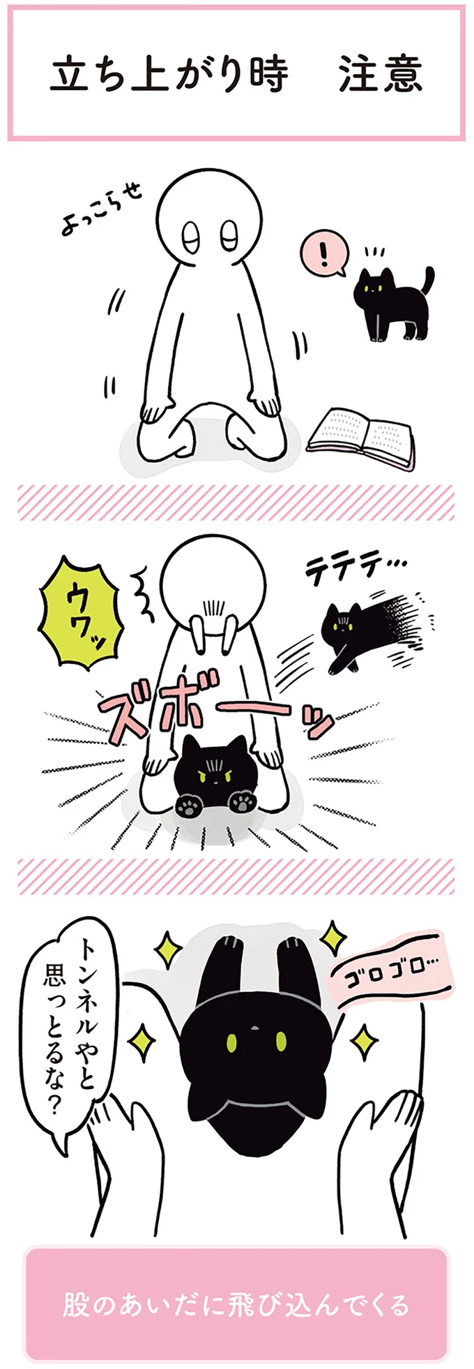 『黒猫ろんと暮らしたら1～3』 14151487.webp