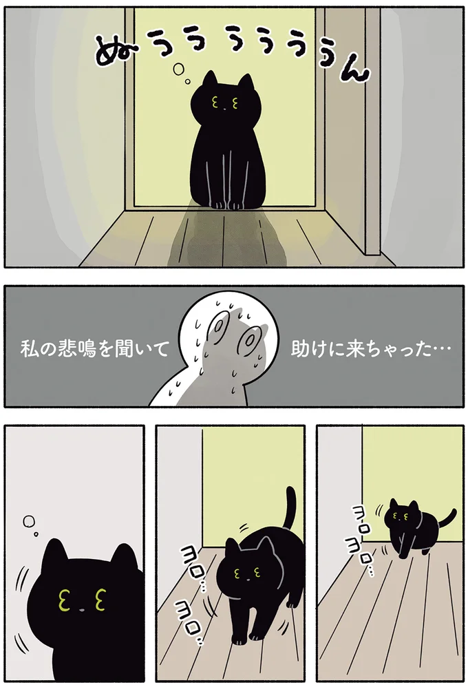 『黒猫ろんと暮らしたら1～3』 14151517.webp