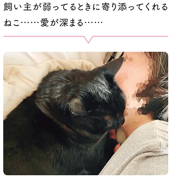 『黒猫ろんと暮らしたら1～3』 14151531.webp
