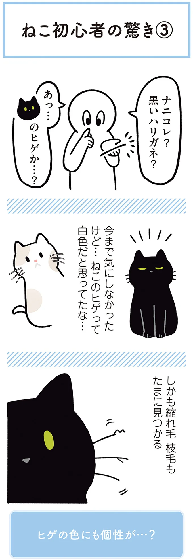 『黒猫ろんと暮らしたら1～3』 14151537.webp