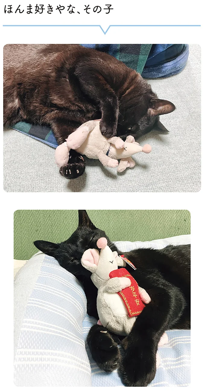 『黒猫ろんと暮らしたら1～3』 14151552.webp