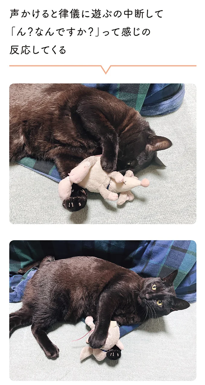 『黒猫ろんと暮らしたら1～3』 14151557.webp