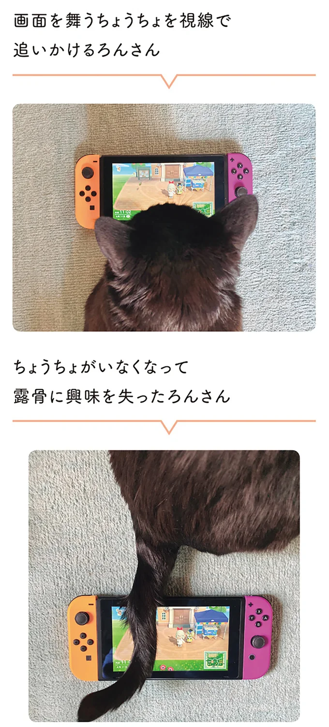 『黒猫ろんと暮らしたら1～3』 14151566.webp