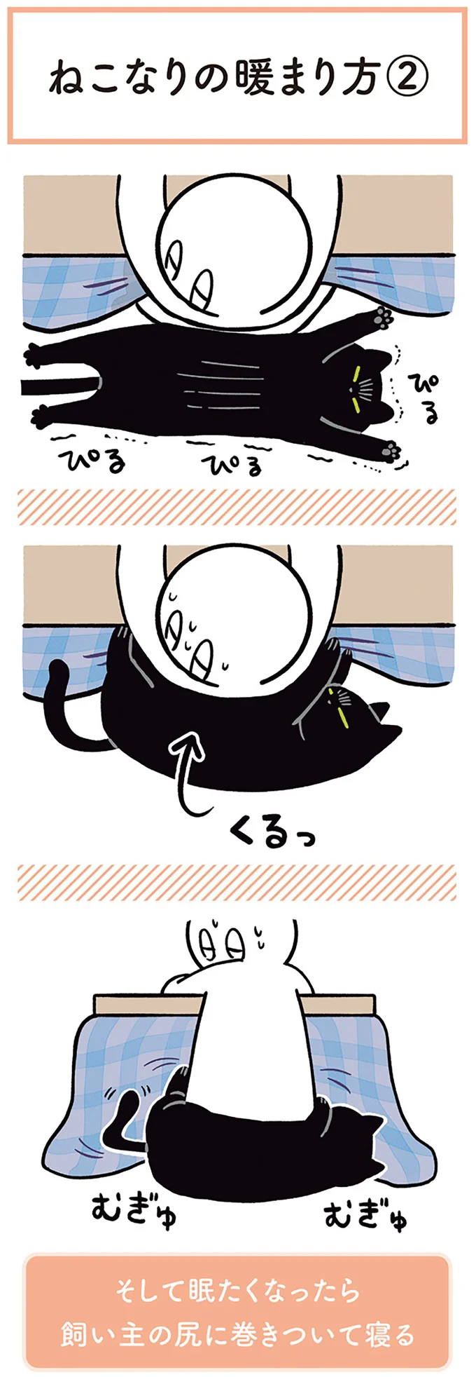 『黒猫ろんと暮らしたら1～3』 14151580.webp