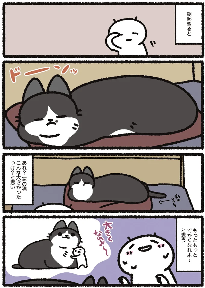 朝の猫。枕をドーンッと占拠してる姿を見て飼い主は／あっち こっち ネッチ！ 14160266.webp