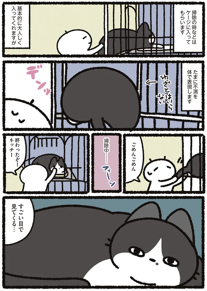 『あっち こっち ネッチ！』 14160268.webp