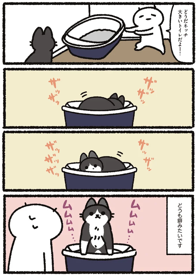 『あっち こっち ネッチ！』 14160273.webp