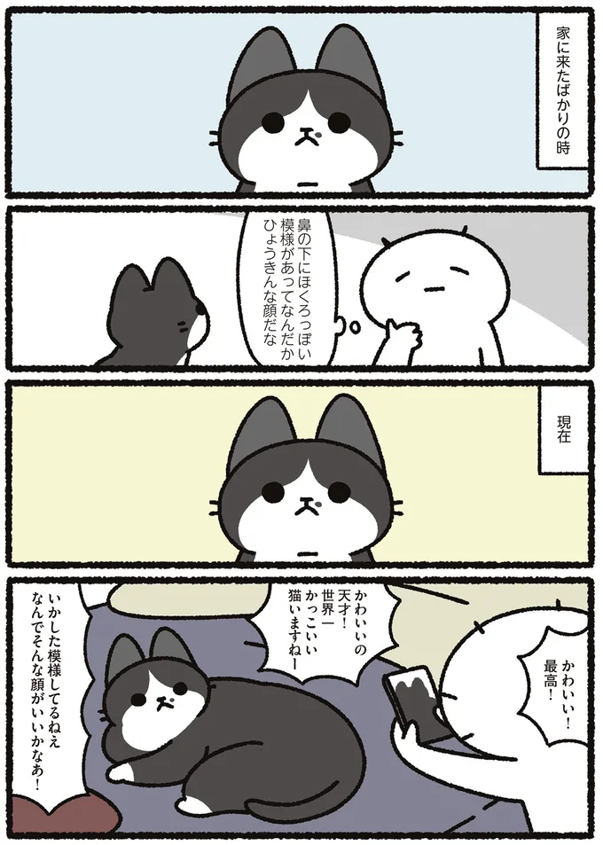 『あっち こっち ネッチ！』 14160293.webp