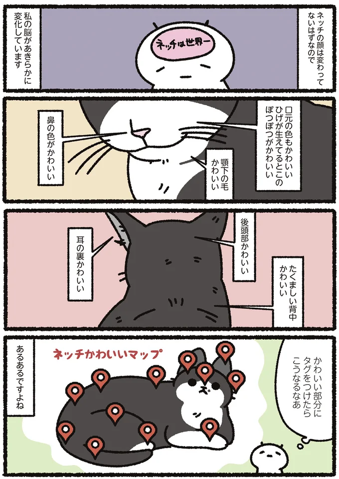 『あっち こっち ネッチ！』 14160294.webp