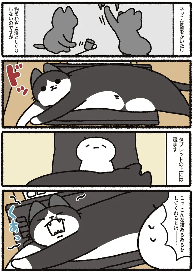 「こんな猫あるあるをしてくれるとは――！」。うわああああ‼／あっち こっち ネッチ！ 14160354.webp
