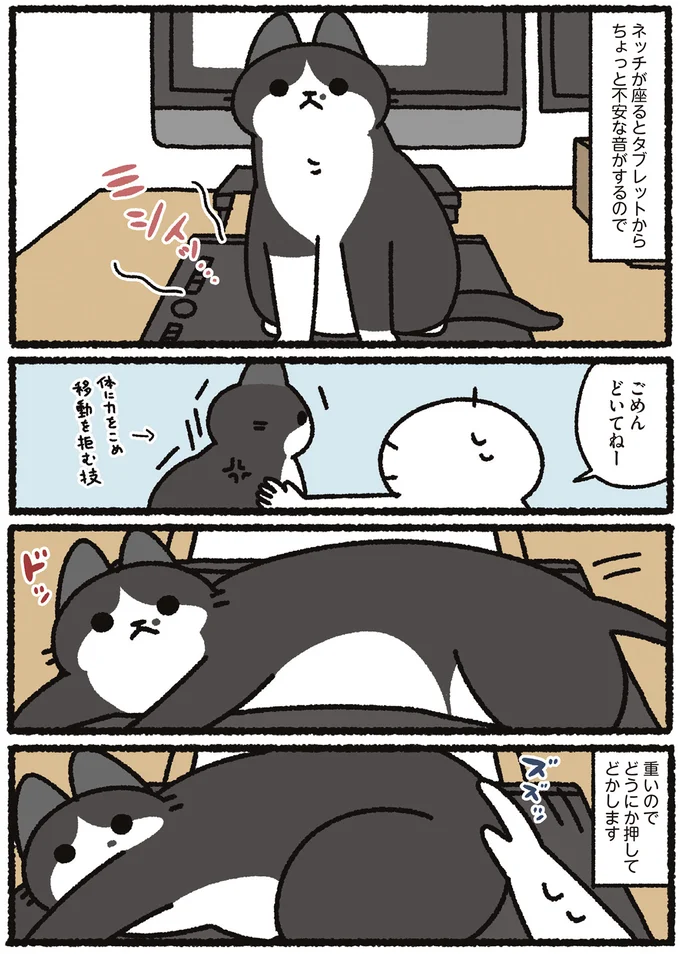 『あっち こっち ネッチ！』 14160355.webp
