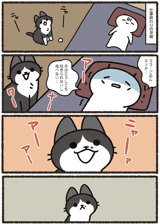 「猫の誘い」を断った飼い主。あとから謝りに行くと...ああ／あっち こっち ネッチ！ 14160408.webp