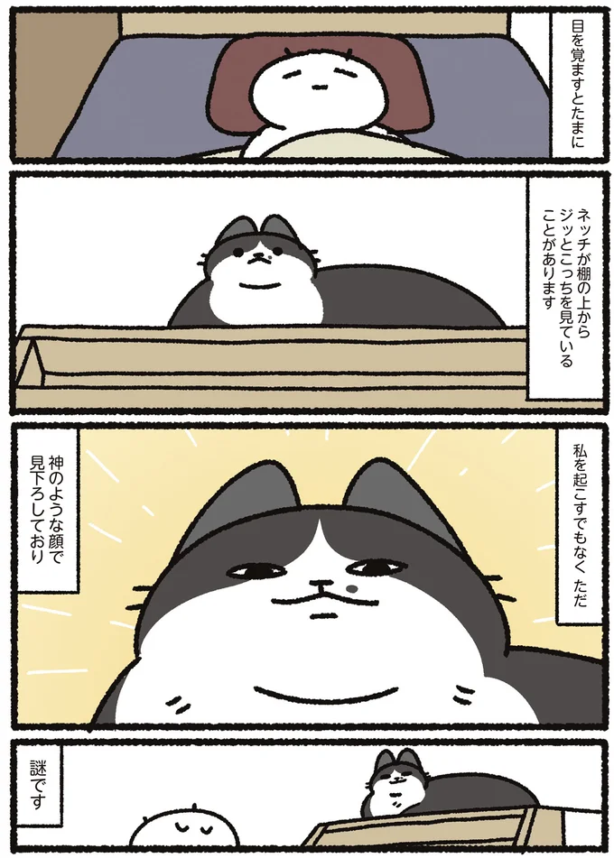 『あっち こっち ネッチ！』 14160410.webp