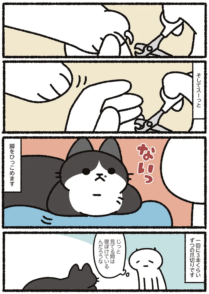 『あっち こっち ネッチ！』 14160414.webp