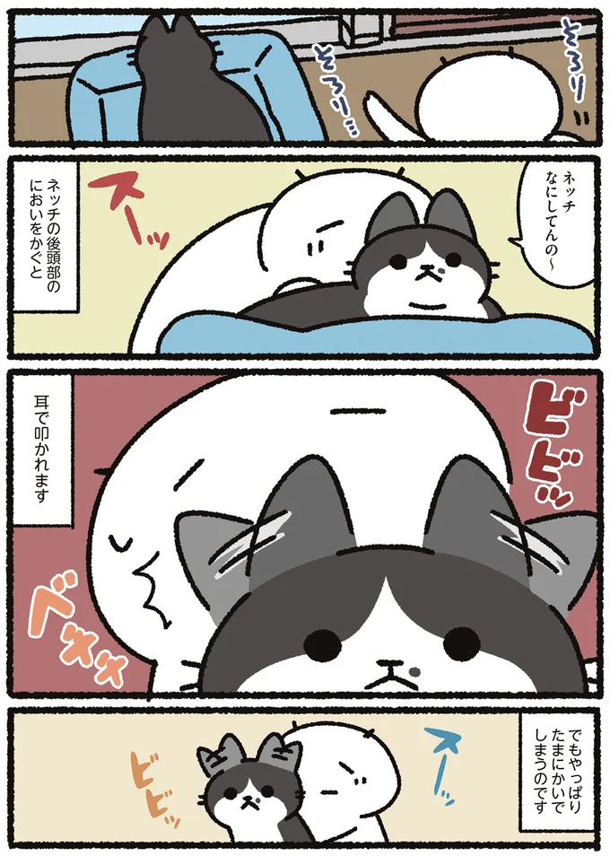 『あっち こっち ネッチ！』 14160415.webp
