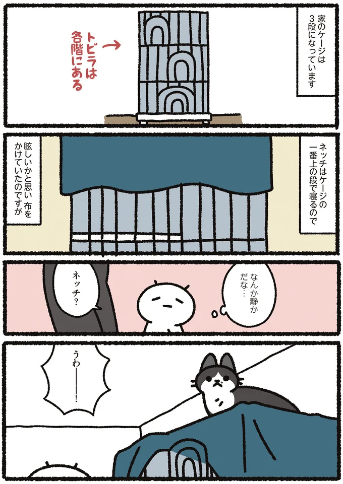 「なんだ、その顔は...」猫のこの表情。ケージから降ろそうとしたら...ん?/あっち こっち ネッチ! 14160535.webp