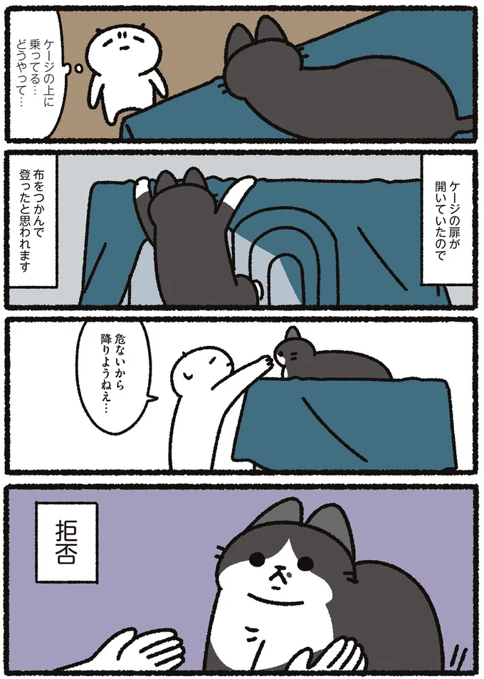 『あっち こっち ネッチ！』 14160536.webp