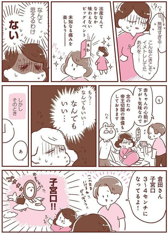 『365日アカチャン満喫生活』 14169635.webp