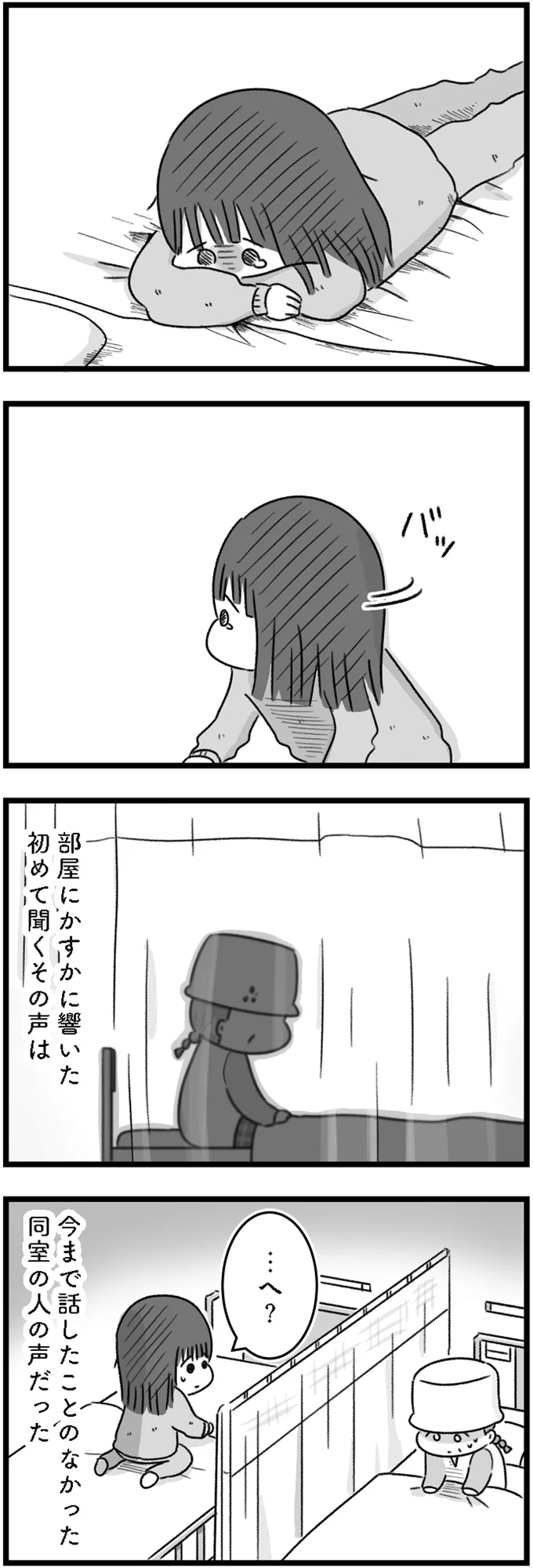 『精神科病棟の青春 あるいは高校時代の特別な1年間について』 14169809.webp