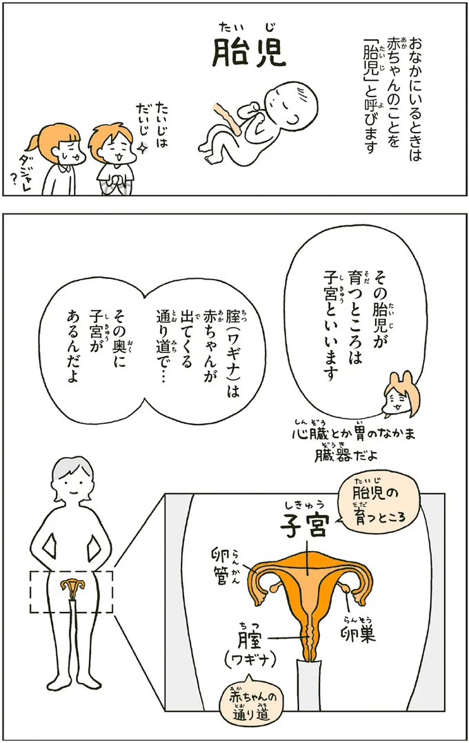 『こどもせいきょういくはじめます おうち性教育はじめますシリーズ』 14182099.webp