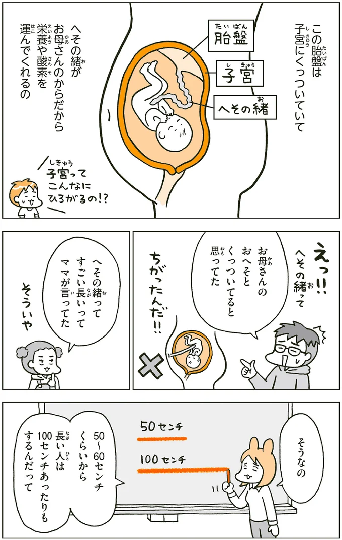『こどもせいきょういくはじめます おうち性教育はじめますシリーズ』 14182101.webp