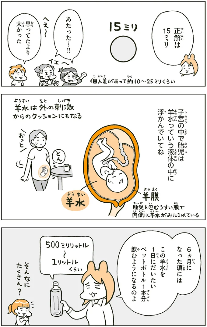 『こどもせいきょういくはじめます おうち性教育はじめますシリーズ』 14182103.webp