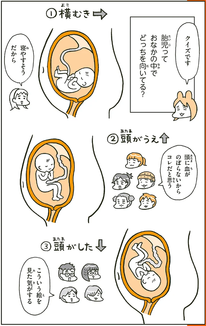 小2たちが考える「胎児は子宮の中でどこを向いてる?」/こどもせいきょういくはじめます 14182126.webp
