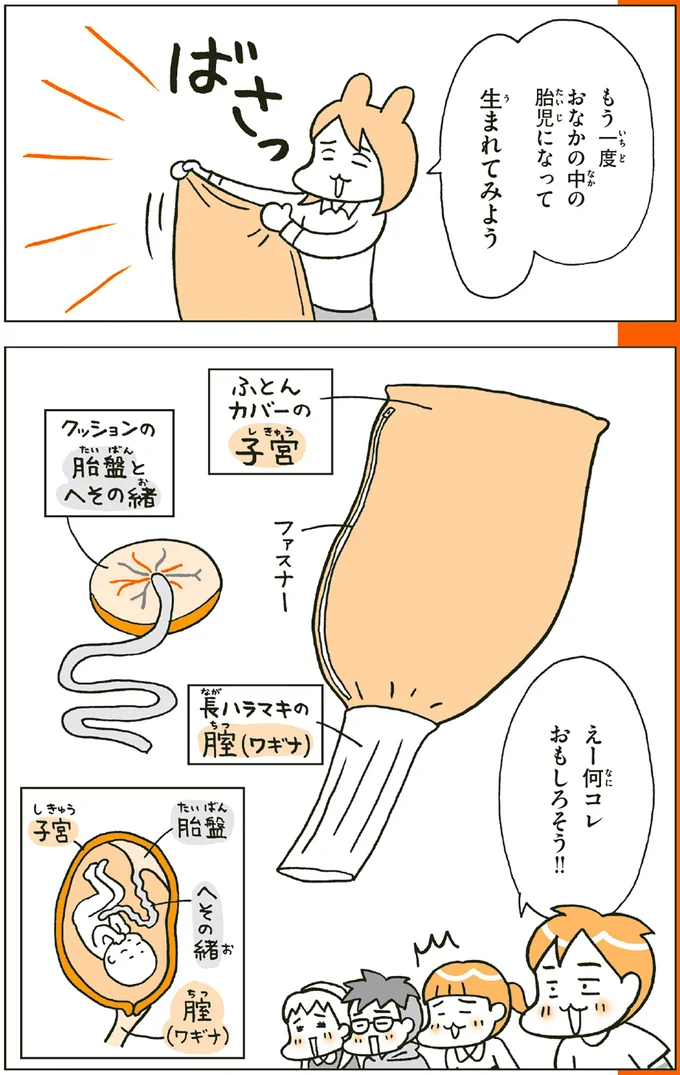 赤ちゃんはどんな風に生まれてくる？ 小2男子が胎児になって疑似体験／こどもせいきょういくはじめます 14182133.webp