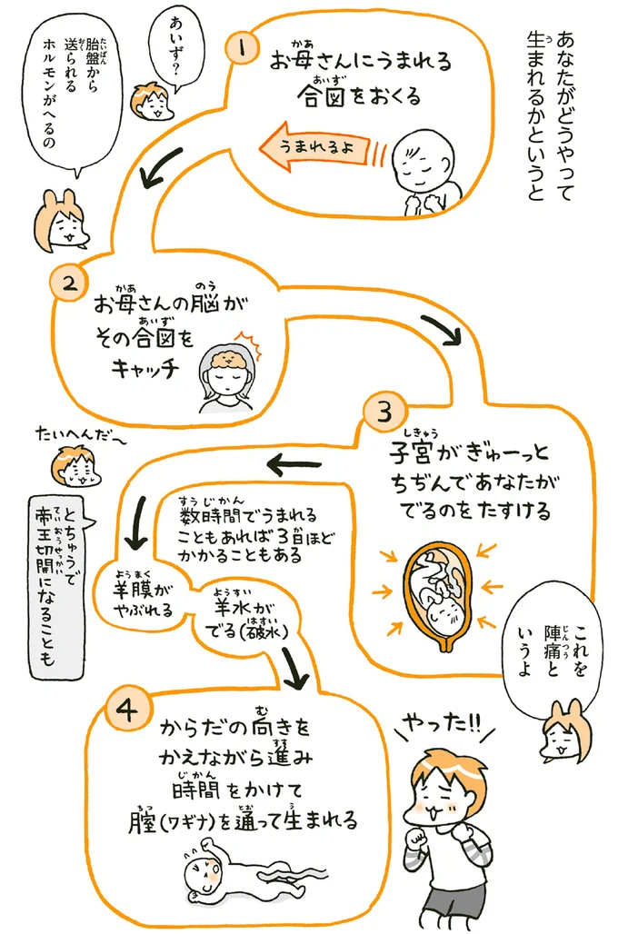 『こどもせいきょういくはじめます おうち性教育はじめますシリーズ』 14182134.webp