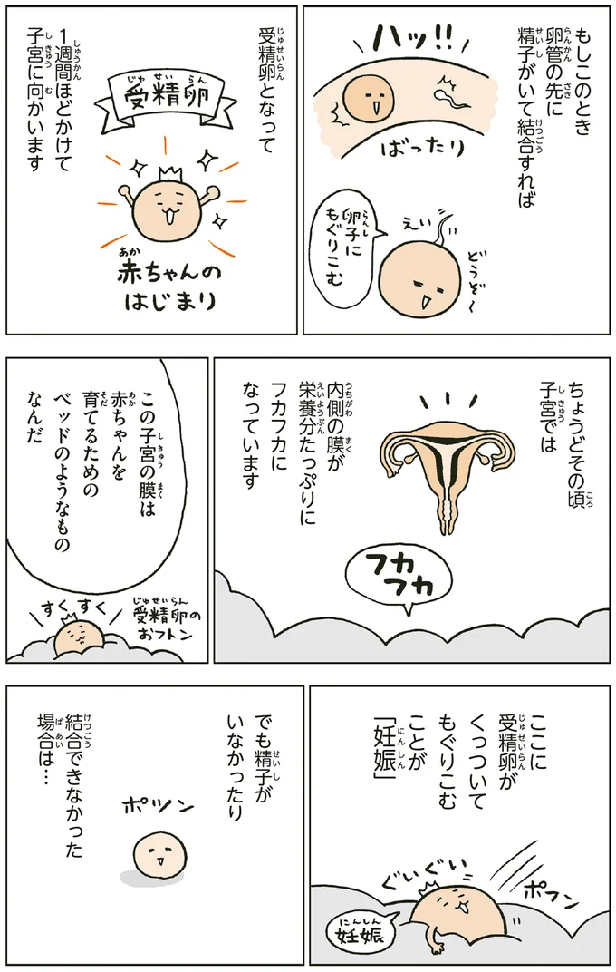 『こどもせいきょういくはじめます おうち性教育はじめますシリーズ』 14182543.webp