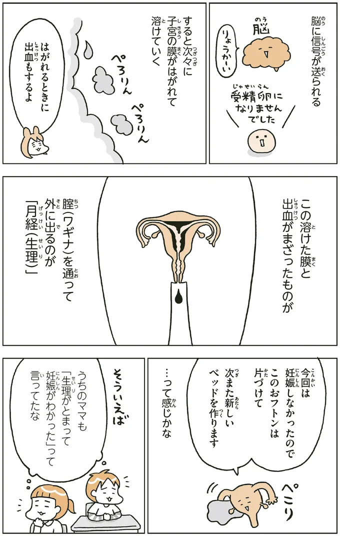 『こどもせいきょういくはじめます おうち性教育はじめますシリーズ』 14182544.webp